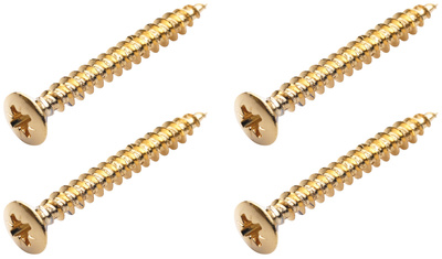 Warwick Screws for Bolt-On Necks G