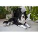 Hi-Line Gift Ltd. Lying Border Collie in Black/White | 14.17 H x 16.93 W x 29.53 D in | Wayfair 87689-A