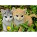 Hi-Line Gift Ltd. Kittens Sitting Together in Black/Yellow | 5.12 H x 6.1 W x 7.68 D in | Wayfair 87757-Z