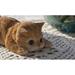 Hi-Line Gift Ltd. Orange Tabby Magnet in White/Yellow | 1.65 H x 2.52 W x 4.49 D in | Wayfair 87722-A