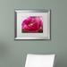 Trademark Fine Art "Peppermint Tulip" by Kurt Shaffer Framed Photographic Print Canvas | 16 H x 20 W x 0.5 D in | Wayfair KS01216-W1620MF