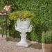 Fleur De Lis Living Giordano Concrete Chalice Urn Planter Concrete in White | 28.25 H x 18.75 W x 18.75 D in | Wayfair