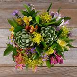 Wild About U Bouquet + Succulent - Deluxe - The Bouqs Co.