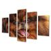 Design Art Drawing Dog German Pomeranian - 5 Piece Wrapped Canvas Print Canvas in Brown/Pink | 60 H x 32 W x 1 D in | Wayfair PT40898-373