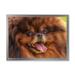 East Urban Home Drawing Dog German Pomeranian - Painting on Canvas in Brown | 12 H x 20 W x 1 D in | Wayfair 533466DBE0634E56B9B4145DA1A8600E