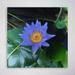 Latitude Run® Blue & Yellow Petaled Flower - 1 Piece Rectangle Graphic Art Print On Wrapped Canvas in Black/Blue/Green | Wayfair