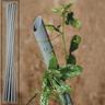 Tutori tutore pvc per piante pianta 20pz. vigna mm. 27 x cm. 150 vasi sostegno - Salone