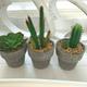 Set of Three Mini Artificial Cactus Cacti Plants In Clay Pots - Mothers Day Gift