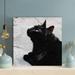 Latitude Run® Black Cat On Gray Concrete Floor - 1 Piece Square Graphic Art Print On Wrapped Canvas in Black/White | 16 H x 16 W x 2 D in | Wayfair