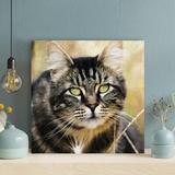 Latitude Run® Tabby Cat In Close Up Photography - 1 Piece Square Graphic Art Print On Wrapped Canvas Metal in Brown | 32 H x 32 W x 2 D in | Wayfair