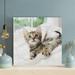 Latitude Run® Brown Tabby Kitten On White Textile - 1 Piece Square Graphic Art Print On Wrapped Canvas in Brown/White | 12 H x 12 W x 2 D in | Wayfair