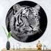 Latitude Run® Monochrome Portrait of a Tiger V - Unframed Photograph on Metal in Black/White | 29 H x 29 W x 1 D in | Wayfair