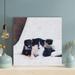 Red Barrel Studio® Three Tuxedo Kittens On White - 1 Piece Square Graphic Art Print On Wrapped Canvas in Black/White | 12 H x 12 W x 2 D in | Wayfair