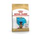 Nourriture que Nourriture que Royal Canin allemand berger chiot (junior) chiots de race de berger