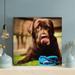 Latitude Run® Black Labrador Retriever Puppy Biting Blue Ball - 1 Piece Rectangle Graphic Art Print On Wrapped Canvas in Blue/Brown | Wayfair