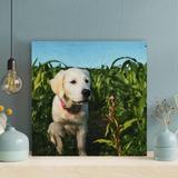 Latitude Run® Yellow Labrador Retriever Puppy On Grass Field During Daytime - 1 Piece Rectangle Graphic Art Print On Wrapped Canvas | Wayfair