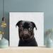Latitude Run® Pug On White Background - 1 Piece Rectangle Graphic Art Print On Wrapped Canvas in Black | 12 H x 12 W x 2 D in | Wayfair