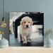 Latitude Run® Golden Retriever Puppy Sitting On Floor - 1 Piece Rectangle Graphic Art Print On Wrapped Canvas in White | Wayfair