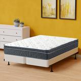 Queen Firm 20" Foam Mattress - Alwyn Home Alibi 12-Inch Medium Cooling EuroTop Pocket Coil Bed In A Box w/ Split Spring | 80 H x 60 W 20 D in Wayfair