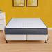 Twin Firm 9" Hybrid Mattress - Spinal Solution Krause Pocket Coil Medium Back Support w/Wood Box Spring, White | 74 H x 38 W 13 D in Wayfair