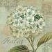 One Allium Way® Voyage Romantique II Canvas, Cotton in White | 36 H x 36 W x 1.25 D in | Wayfair 5A8646671258458C8AF01919C43D5091