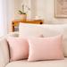 Everly Quinn Set Of 2 Throw Pillow Velvet Cushion Covers Velvet in Pink | 14 H x 20 W x 1 D in | Wayfair E50D78BDE51D4C86944EE8C412F8EE95