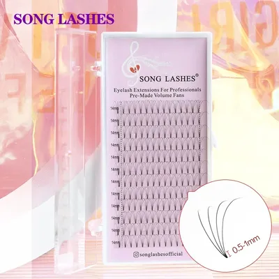 SONG LASHES 0.07 0.10mm thickness premade fan premade volume fans Lashes 3D4D5D6Dshort stem Volume Lashes Eyelash Extension