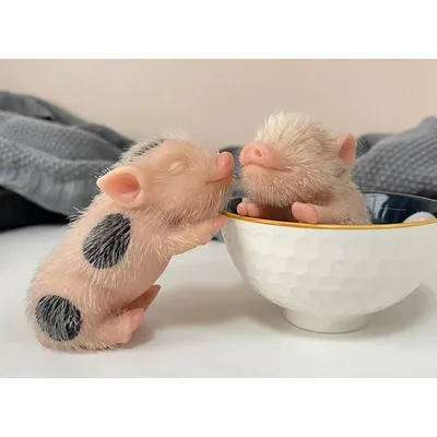 5inch Mini Reborn Doll Full Body Silicone Piglet Cute Lifelike Piglet Reborn Piggy Toys for Children