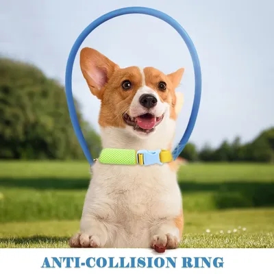 Blind Pet Anti-collision Collar Dog Guide Training Behavior Aids fit small big Dogs Prevent