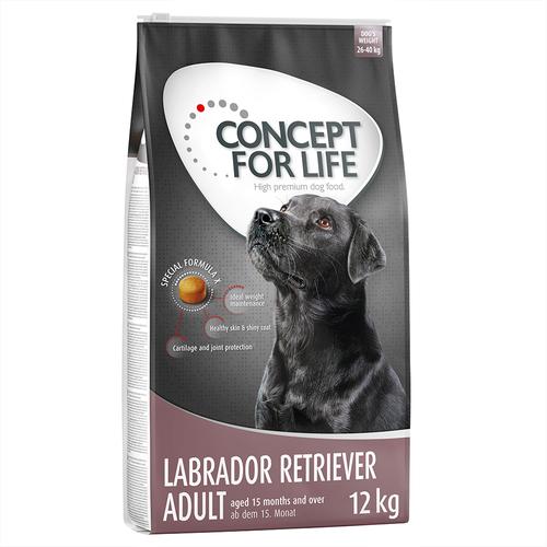 12kg Adult Labrador Retriever Concept for Life Hundefutter trocken