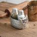 Galvanized Pig Salt and Pepper Caddy - 2½''W x 6''D x 4''H