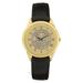 Men's Gold Oberlin Yeomen Medallion Leather Wristwatch