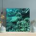 Bayou Breeze Brown Sea Turtle 2 - 1 Piece Square Graphic Art Print On Wrapped Canvas in Green | 16 H x 16 W x 2 D in | Wayfair
