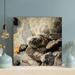 Bayou Breeze Black & Brown Turtle On Gray Rock 1 - 1 Piece Square Graphic Art Print On Wrapped Canvas in Black/Brown | 12 H x 12 W x 2 D in | Wayfair