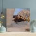 Bayou Breeze And Black Turtle On Gray Concrete Floor - 1 Piece Square Graphic Art Print On Wrapped Canvas Metal in Brown | Wayfair
