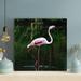 Bayou Breeze White Flamingo On Green Grass During Daytime 1 - 1 Piece Square Graphic Art Print On Wrapped Canvas-648 in Green/White | Wayfair