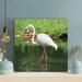 Bayou Breeze White Flamingo On Green Water - 1 Piece Square Graphic Art Print On Wrapped Canvas-650 in Green/White | 32 H x 32 W x 2 D in | Wayfair