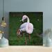 Bayou Breeze White Flamingo On Green Grass During Daytime - 1 Piece Square Graphic Art Print On Wrapped Canvas-649 in Green/White | Wayfair