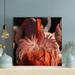 Bayou Breeze Pink Flamingos In Tilt Shift Lens 9 - 1 Piece Square Graphic Art Print On Wrapped Canvas-496 Canvas in Orange | Wayfair