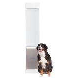 PetSafe® Freedom Patio Panel, Glass | 76.09 H x 11.38 W x 0.75 D in | Wayfair PPA11-13135