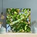 Latitude Run® A Green Snake Among Green Leaves - 1 Piece Square Graphic Art Print On Wrapped Canvas in Green/Yellow | 12 H x 12 W x 2 D in | Wayfair