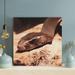 Latitude Run® Brown Snake On Brown Sand - 1 Piece Square Graphic Art Print On Wrapped Canvas Metal in Black/Brown | 32 H x 32 W x 2 D in | Wayfair
