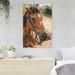 Gracie Oaks Person Holding Brown Horse During Daytime - 1 Piece Rectangle Graphic Art Print On Wrapped Canvas in White | Wayfair