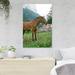 Gracie Oaks Horse Near Fence During Daytime - 1 Piece Rectangle Graphic Art Print On Wrapped Canvas in White | 36 H x 24 W x 2 D in | Wayfair