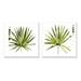 Stupell Industries Spiky Aloe Palm Plant Paint Hue GuideJennifer Paxton Parker Wood in Brown | 12 H x 12 W x 1.5 D in | Wayfair a2-280_wd_2pc_12x12