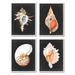 Stupell Industries Sea Shell Clam Conch Collection Realistic Illustration4pc Michael Willett Wood in Brown | 28 H x 22 W in | Wayfair