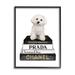 Stupell Industries Maltese Dog Glam Pet Fashion Bookstack Black Framed Giclee Texturized Art By Amanda Green in Brown | Wayfair ak-756_fr_16x20