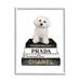 Stupell Industries Maltese Dog Glam Pet Fashion Bookstack Black Framed Giclee Texturized Art By Amanda Green in Brown | Wayfair ak-756_wfr_24x30