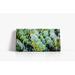 Latitude Run® Green Succulent Stems Canvas Canvas, Wood | 10 H x 20 W x 1.5 D in | Wayfair 3265732E01224E9B8DD1926E3AF61171