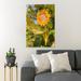 Gracie Oaks Yellow Sunflower In Bloom During Daytime 35 - 1 Piece Rectangle Graphic Art Print On Wrapped Canvas in Green/Yellow | Wayfair